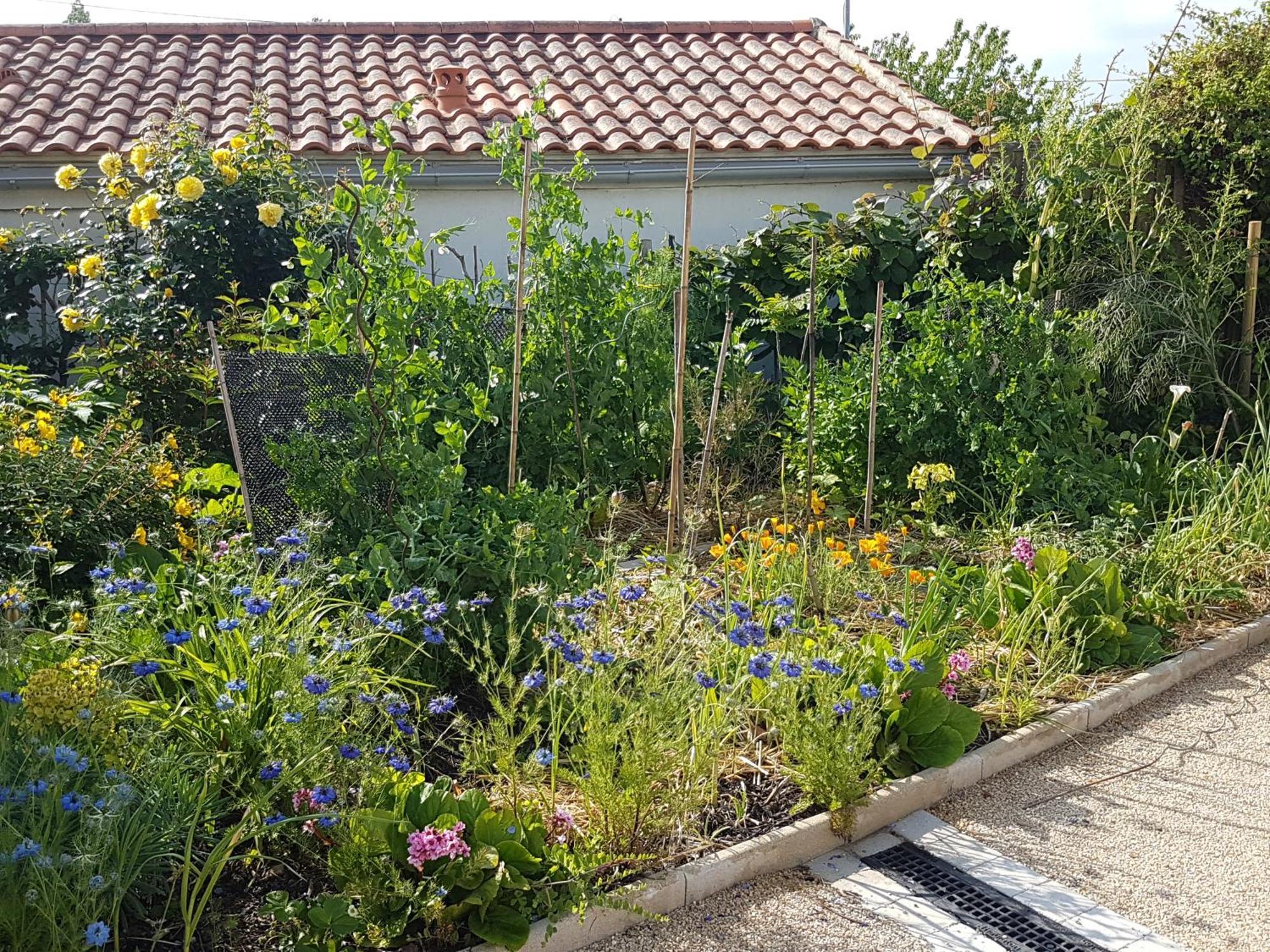 Detente Gite Et Spa Entre Mer Et Marais Villeneuve-en-Retz Extérieur photo